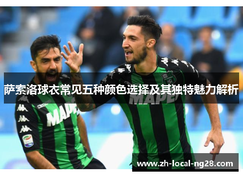 萨索洛球衣常见五种颜色选择及其独特魅力解析 萨索洛球衣常见五种颜色选择及其独特魅力解析