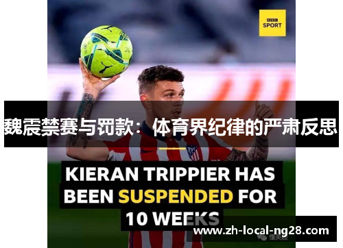 魏震禁赛与罚款：体育界纪律的严肃反思